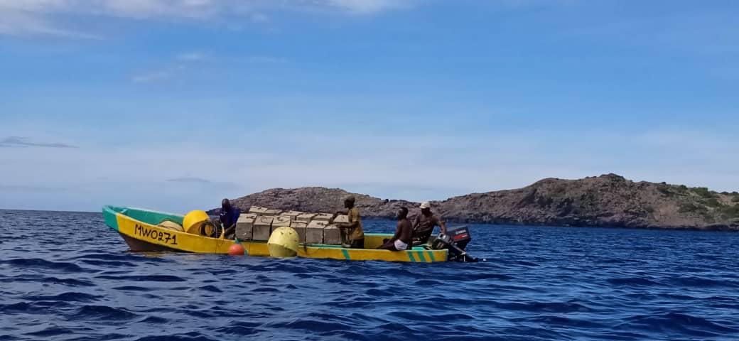 Des dispositifs de concentration des poissons installés dans la zone du PNM